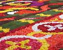 Detail of the 2008 flower carpet