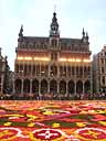 The Maison du Roi in front of the flower carpet on the opening evening