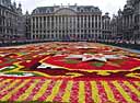 2006 Flower Carpet from the lower western end of the Grand' Place