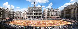 2008 flower carpet panorama from the balcony of the Hôtel de Ville
