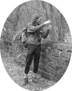 David at La Soye, Wallonia, Belgium