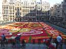 Flower Carpet 2004 from the top end of the Grand' Place