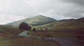 Looking back on Harter Fell